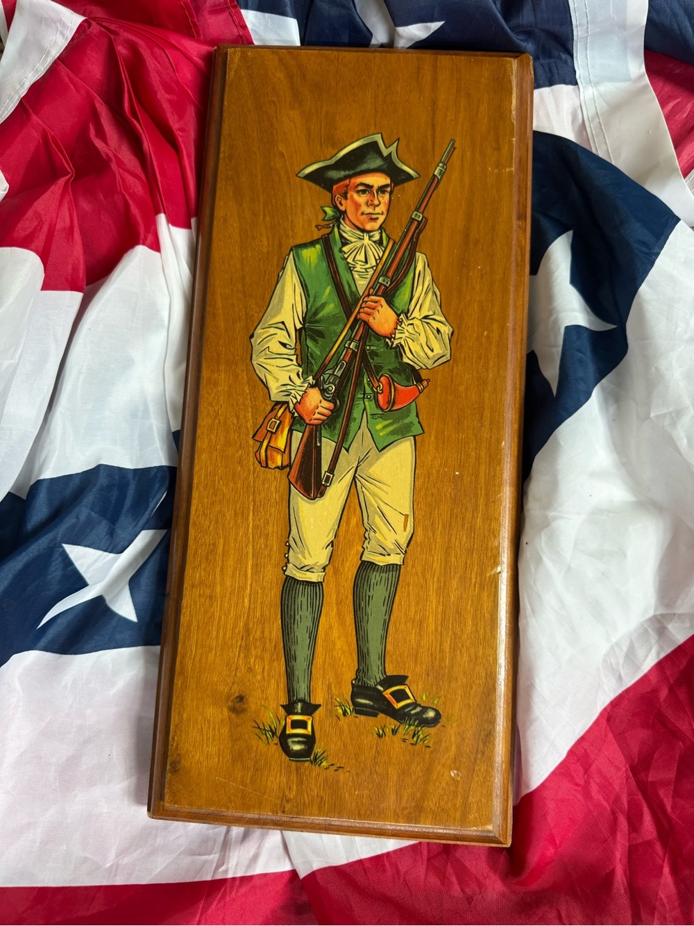 Vintage Brown & Green Revolutionary Soldier Wall Art